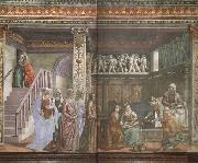 Domenicho Ghirlandaio Geburt Marias oil painting artist